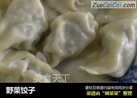 野菜饺子