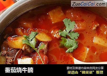 番茄烧牛腩