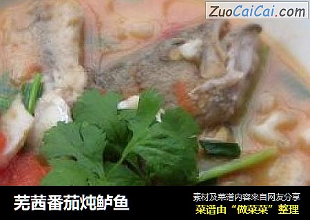芜茜番茄炖鲈鱼