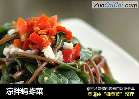 凉拌蚂蚱菜