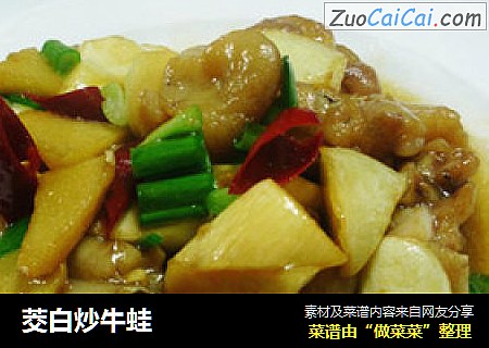 茭白炒牛蛙