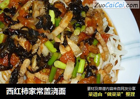 西红柿家常盖浇面
