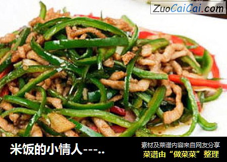 米饭的小情人--------〖双椒炒肉丝〗