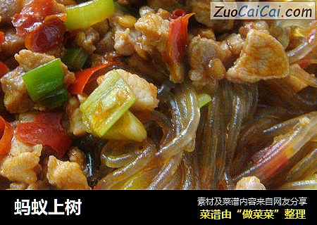 蚂蚁上树