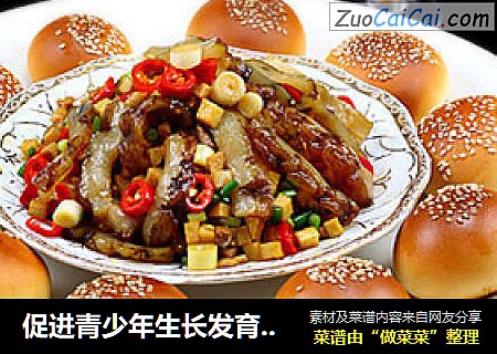 促进青少年生长发育-----〖小餐包烩牛筋〗