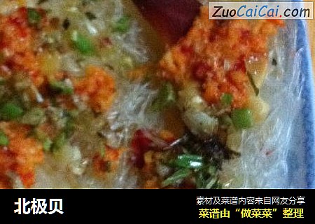 北极贝