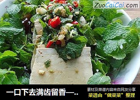 一口下去满齿留香——薄荷拌豆腐