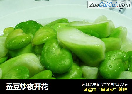 蚕豆炒夜开花
