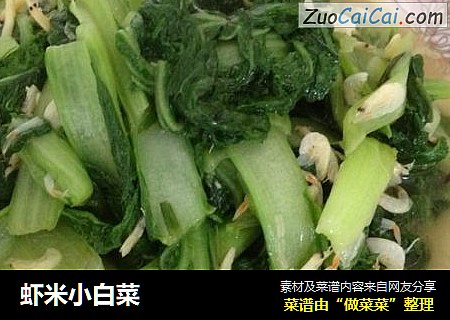 虾米小白菜