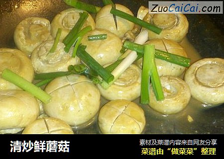 清炒鲜蘑菇