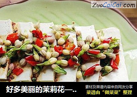 好多美丽的茉莉花——茉莉花拌豆腐
