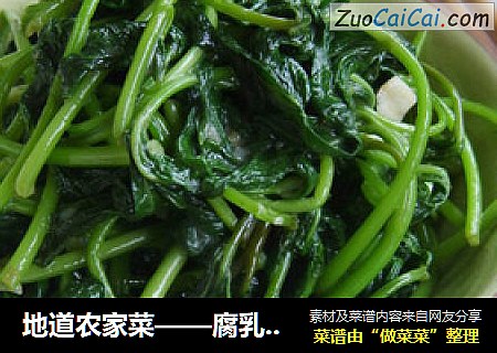 地道农家菜——腐乳炒番薯叶