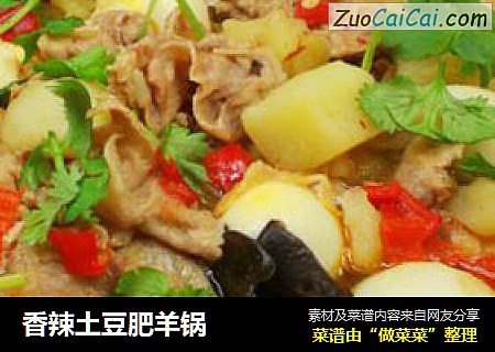 香辣土豆肥羊锅