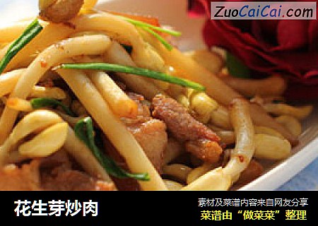 花生芽炒肉