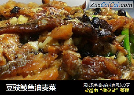 豆豉鲮鱼油麦菜