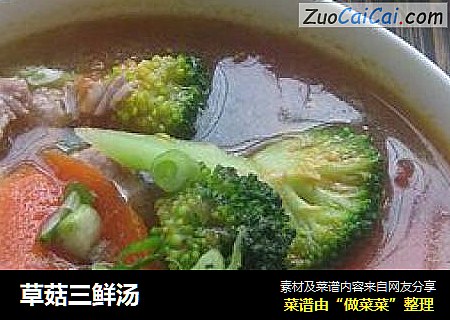 草菇三鲜汤