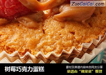 树莓巧克力蛋糕