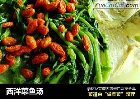 西洋菜鱼汤