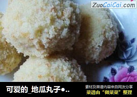 可爱的_地瓜丸子●﹏●