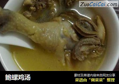 鲍螺鸡汤