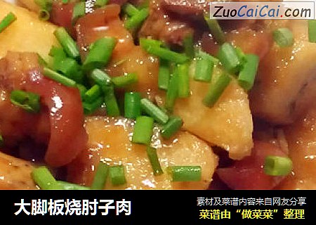 大脚板烧肘子肉