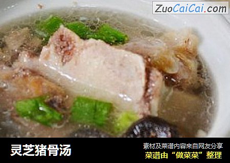 灵芝猪骨汤