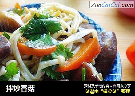 拌炒香菇