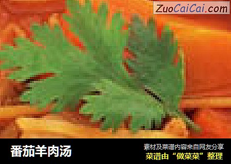 番茄羊肉汤