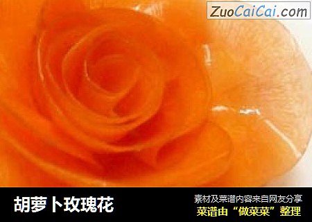 胡萝卜玫瑰花
