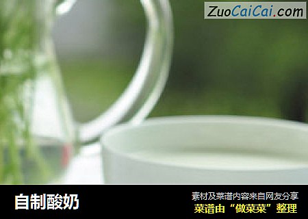 自制酸奶