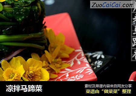 凉拌马蹄菜