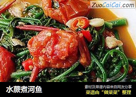 水蕨煮河鱼