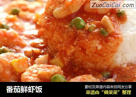 番茄鲜虾饭