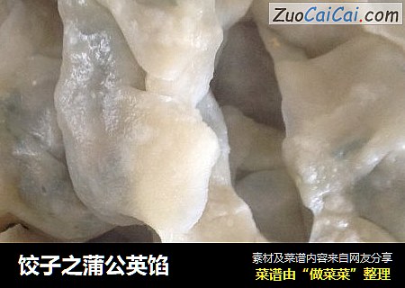 饺子之蒲公英馅
