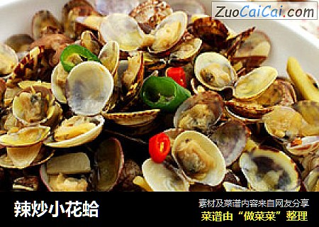 辣炒小花蛤