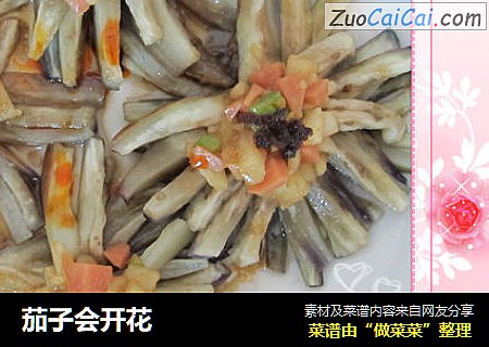 茄子会开花