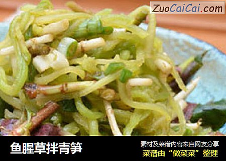 鱼腥草拌青笋