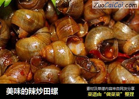 美味的辣炒田螺