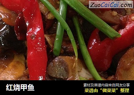 红烧甲鱼
