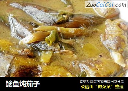 鲶鱼炖茄子