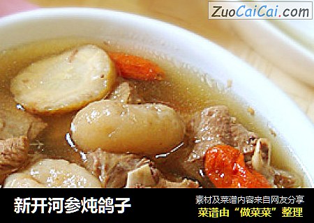 新开河参炖鸽子