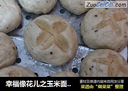 幸福像花儿之玉米面馒头