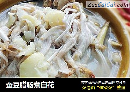 蚕豆腊肠煮白花