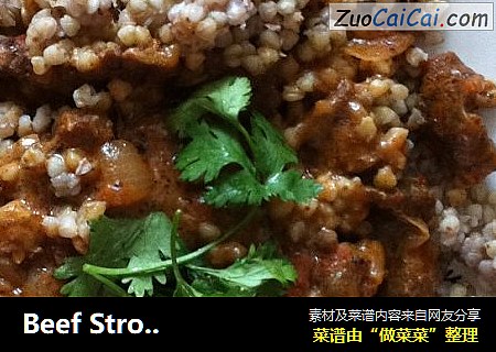 Beef Stroganoff (沙拉酱牛肉)