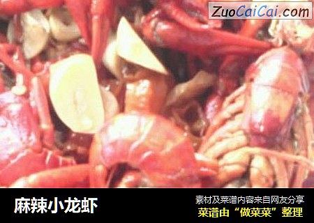 麻辣小龙虾