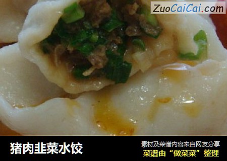 猪肉韭菜水饺
