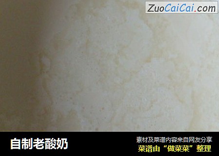 自制老酸奶