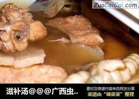 滋补汤@@@广西虫草汤