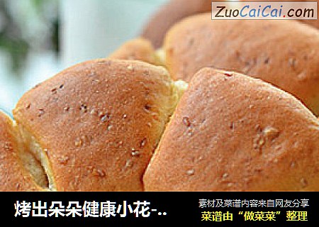 烤出朵朵健康小花----全麦核桃花包