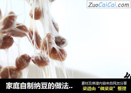家庭自制纳豆的做法超详细多图全攻略——纳豆